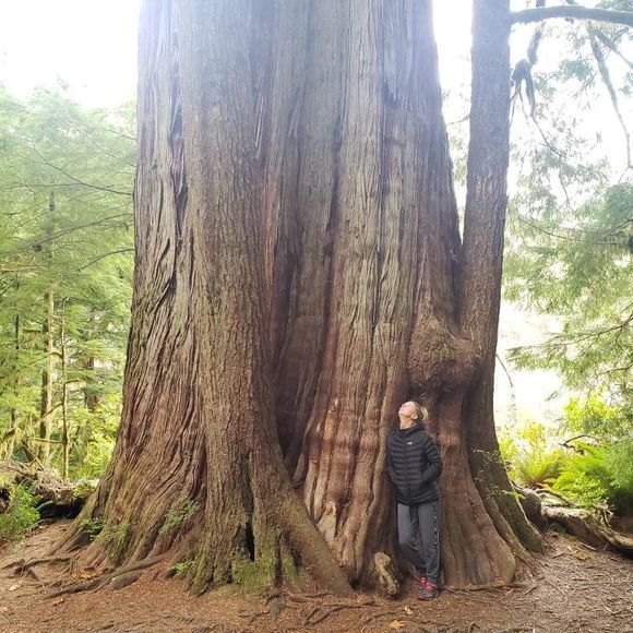 Meet your Posher, Tami - Picture 1 of 1